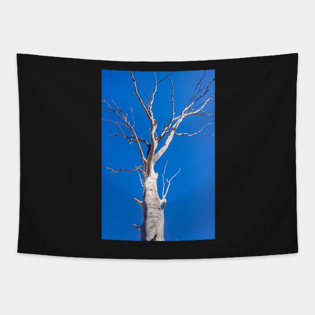 White tree. Tapestry by sma1050