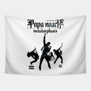 album cover papa nu metal Tapestry