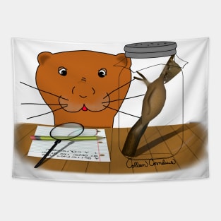 Homeschooling Oliver The Otter - The Cocoon Tapestry