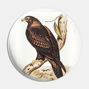 Wedge-tailed Eagle Pin