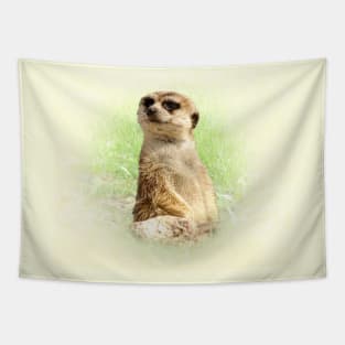 Meerkat Tapestry