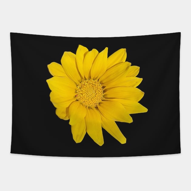 Heliopsis Hellianthoides (Smooth Oxeye) Tapestry by PLANTONE