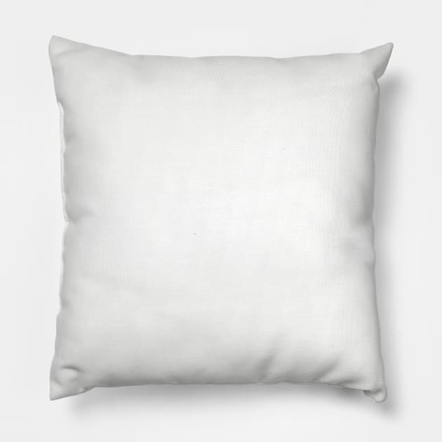 Florida HOME Pillow by blueduckstuff