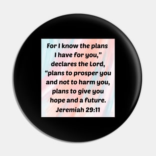 Bible Verse Jeremiah 29:11 Pin