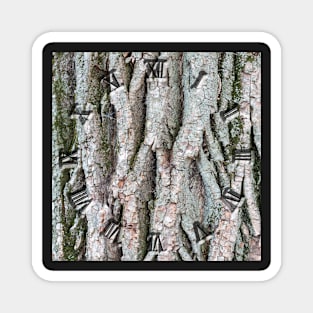 Tree bark background clock Magnet