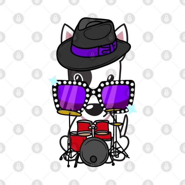 Cute Bull Terrier jamming on the drums by Pet Station