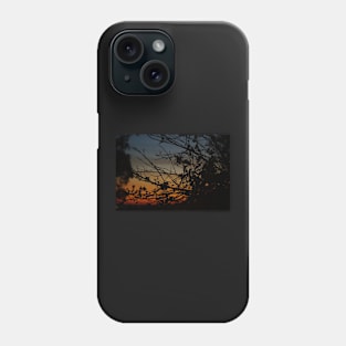 Winter Sunset Phone Case