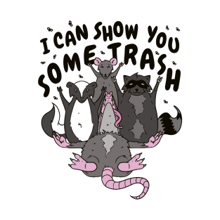 Raccoon Trash Panda Show You Some Trash T-Shirt