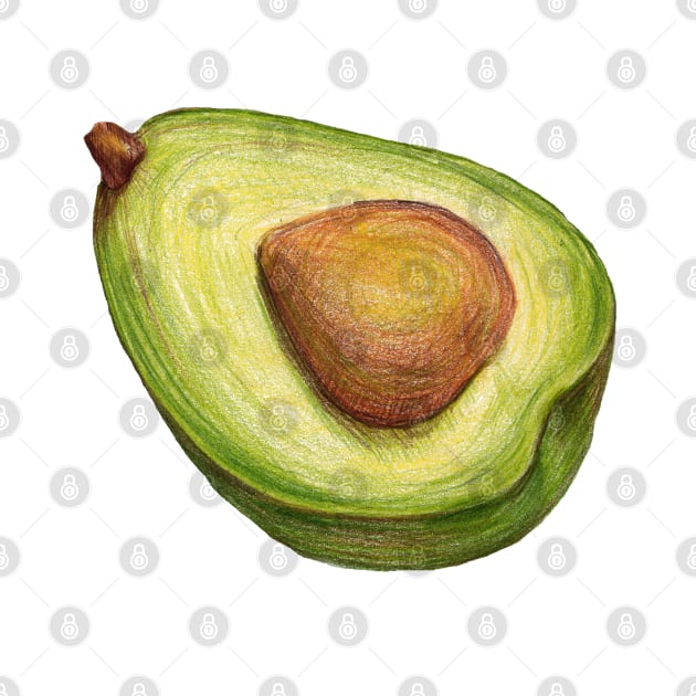 Avocado. color pencil by lisenok