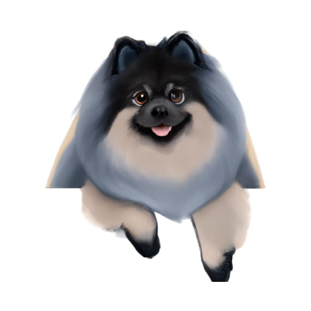 Cute Keeshond Drawing by Play Zoo