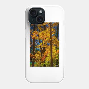 Autumn in Ontario Phone Case