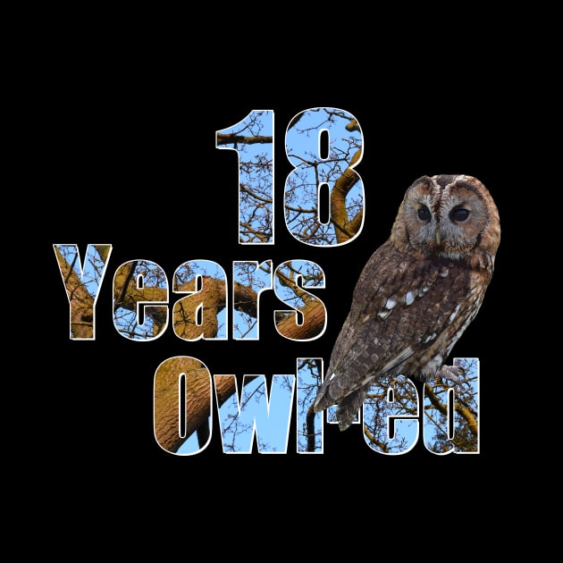 18 years owl-ed (18 years old) 18th birthday by ownedandloved