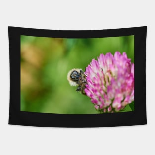 Common carder bee Tapestry