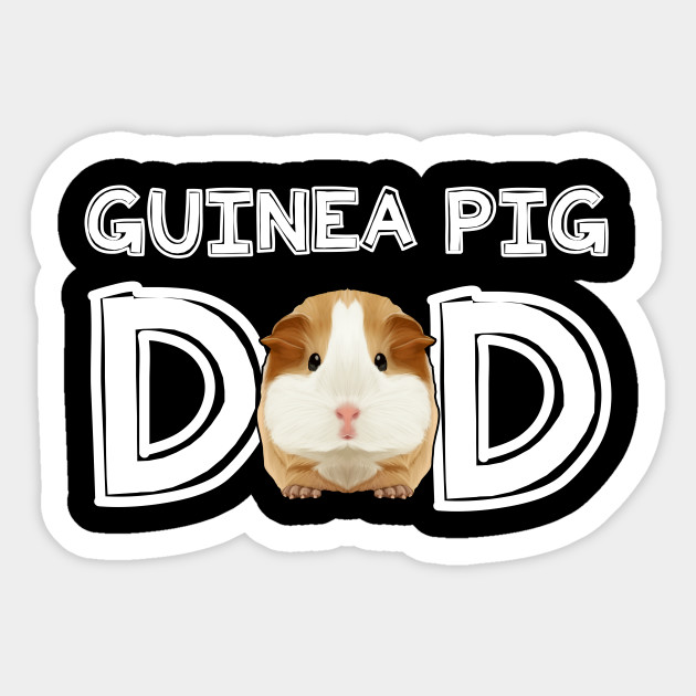 guinea pig dad