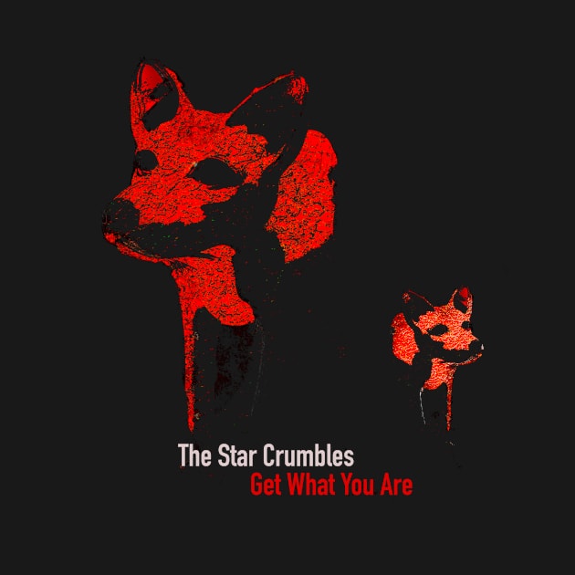 Get What Your Are by The Star Crumbles