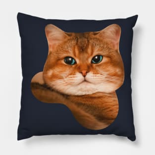 Brown tabby cat Pillow