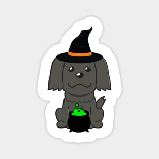 Cute black dog is a witch Magnet