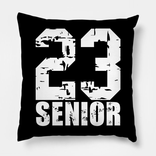 2023 Senior Pillow by colorsplash