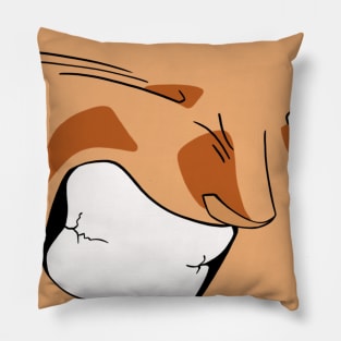 Angry Pillow