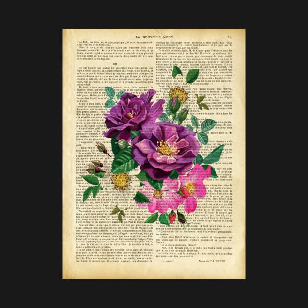 Botanical print, on old book page - dog rose by redwitchart