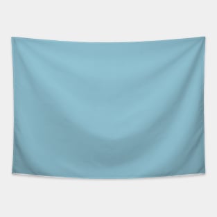 Light Sky Blue Plain Solid Color Tapestry