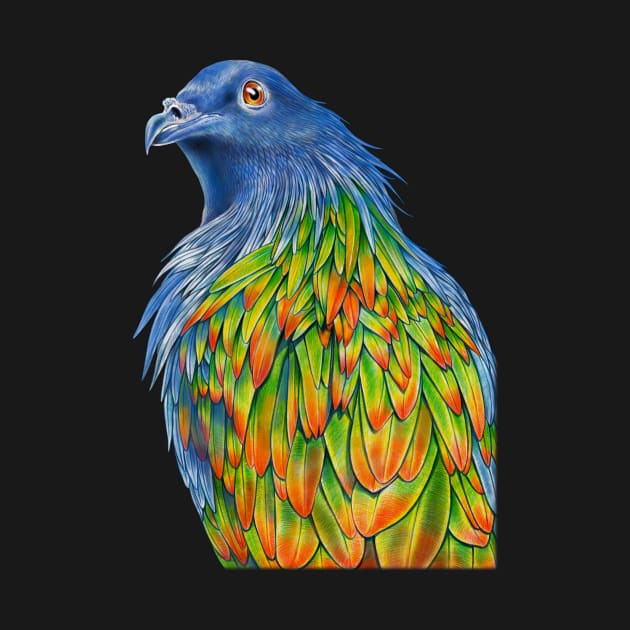 Nicobar Pigeon by Tim Jeffs Art