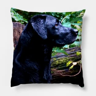 Black Labrador Pillow