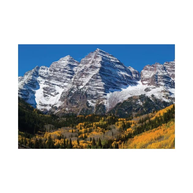 Trees With Mountain Range In The Background Maroon Bells by HammiltenJohn