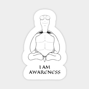 I am Awareness Magnet