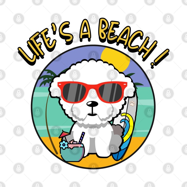 Cute furry dog Goes to the beach by Pet Station