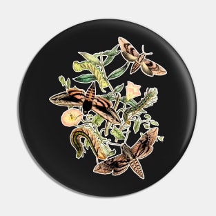 Butterflies and Moths by EncycloArt | Insects Bugs Tee Pin