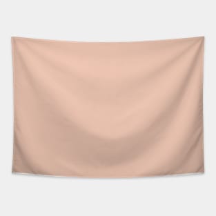 Peach Plain Solid Color Tapestry