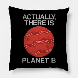 Earth Day Funny Sarcastic Bacon Lover Quote - There Is Planet B Pillow