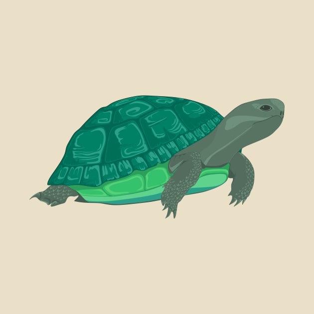 turtle by Ahader