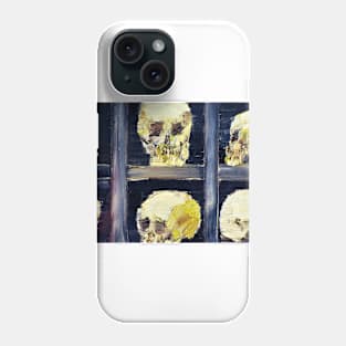 SKULLS IN THE CRYPT Phone Case