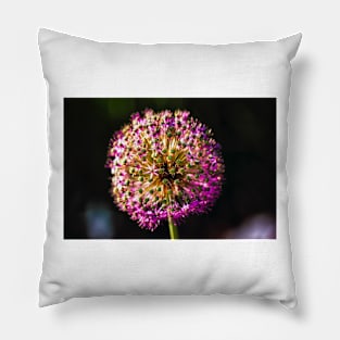 Close-up of  Allium Flower 6 Pillow