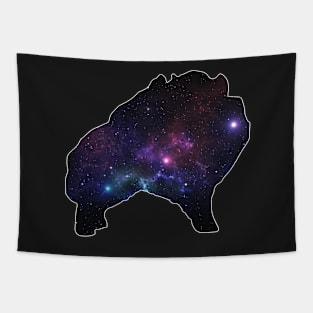 Galaxy Pomeranian Silhouette Tapestry