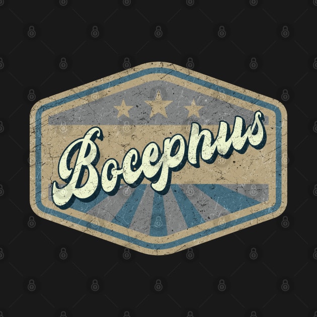 vintage Bocephus by KOKOS PAPA