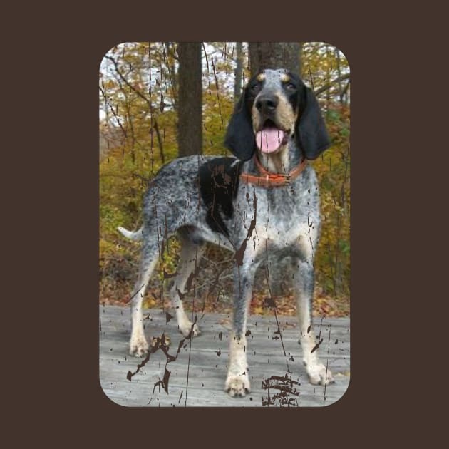 BLUETICK COONHOUND by Cult Classics