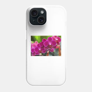 Phalaenopsis 'Red Jewel' (B535/1275) Phone Case