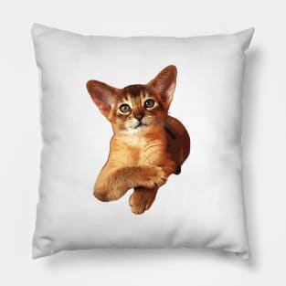 Abyssinian Kitten Cat Cute! Pillow