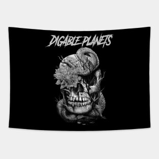 DIGABLE PLANETS RAPPER MUSIC Tapestry