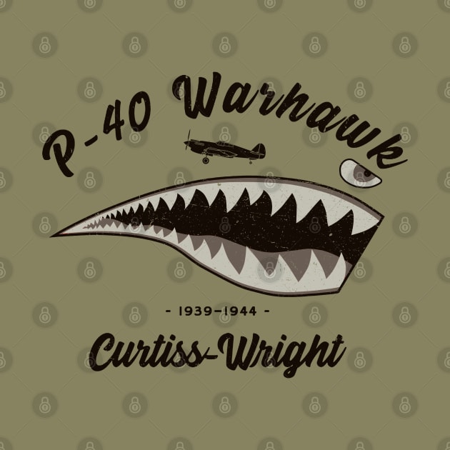 P-40 Warhawk Shark Tooth by Distant War