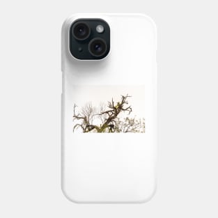 Cactus Growing In a Tree Phone Case