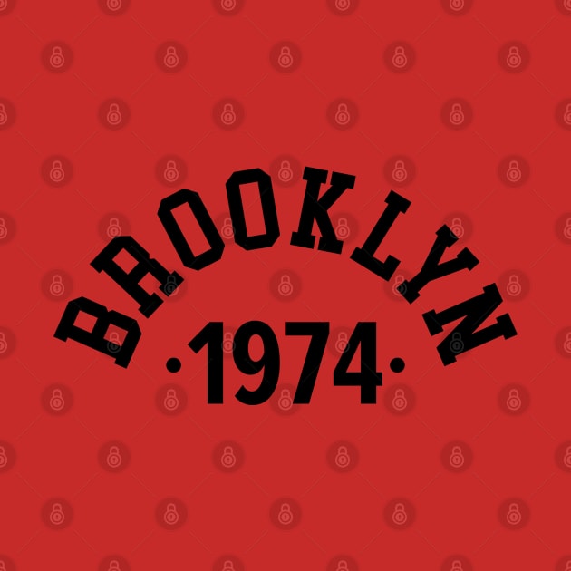 Brooklyn Chronicles: Celebrating Your Birth Year 1974 by Boogosh