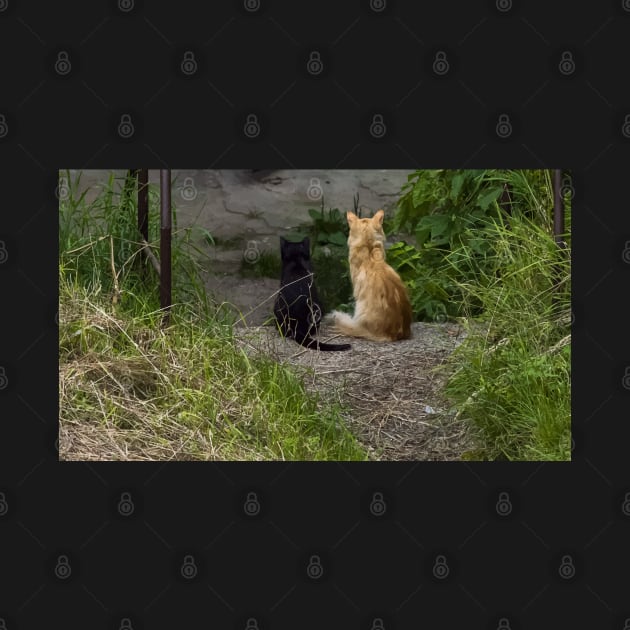 Ginger and black cats sit side by side in the grass and look from the stairs. View from the back by EvgeniiV