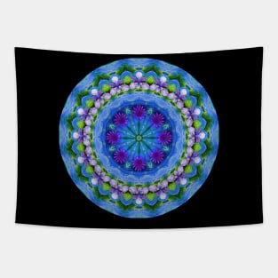 Petals in Symmetry Tapestry