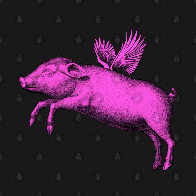 Flying Pig Funny Saying With Pink Modern Pop Art | Vintage  Fat Animal Wings by ZAZIZU