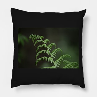 Fern- New Beginning Pillow