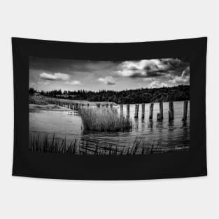 McCormack's Beach Provincial Park in Black & White Tapestry